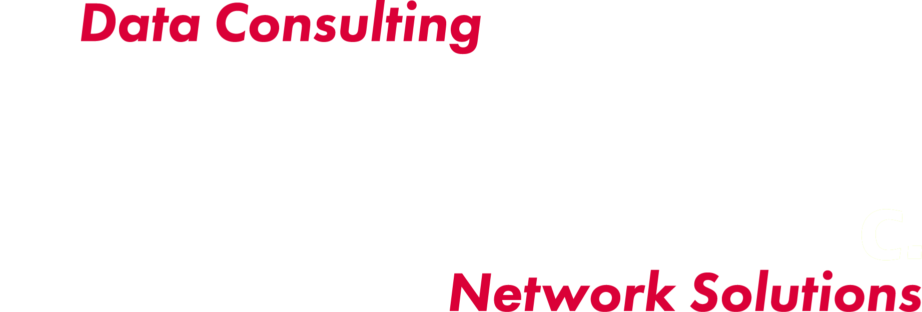 DCNS Logo - Data Consulting Network Solutions transparent white and red